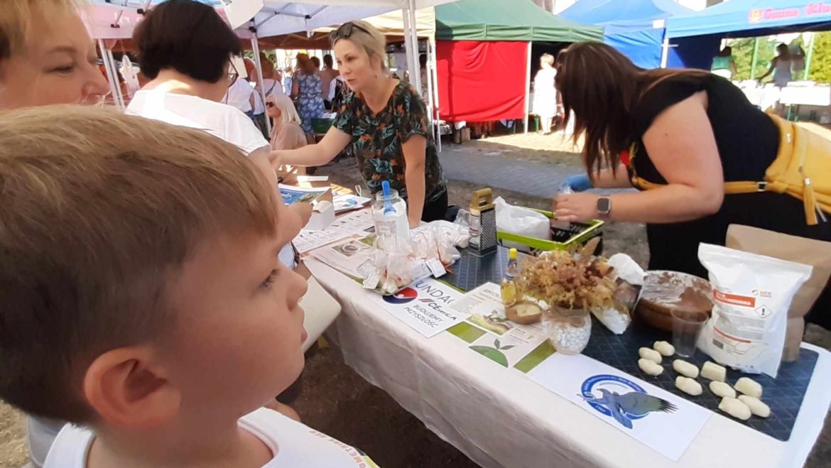 WARSZTATY EKOLOGICZNE W RAMACH PROJEKTU “MŁODZI EKOLODZY NA TROPIE”