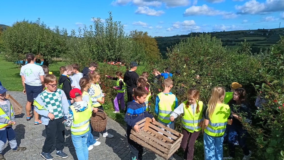 Wycieczka do Ekofarmy w Pogorzanach