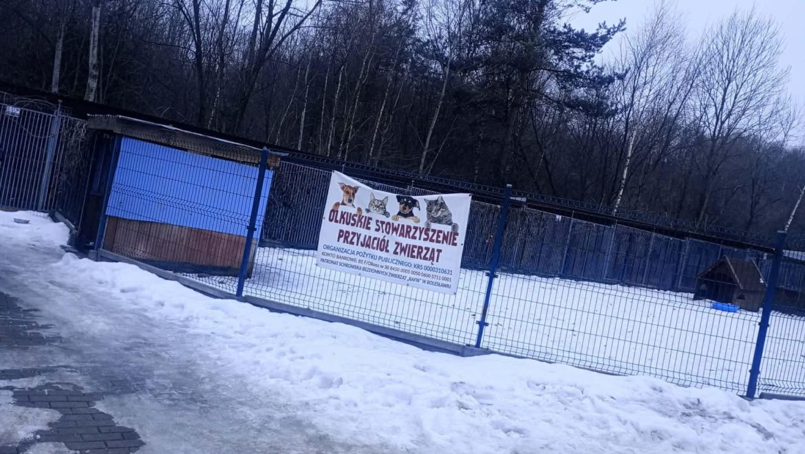 “Rafik” w Bolesławiu – akcja wsparcia dla schroniska